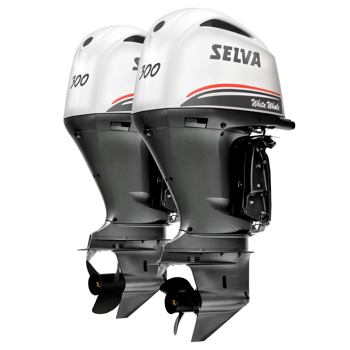 Selva Marine